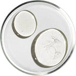 Косметика с AHA и BHA кислотами