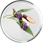 Косметика с аллантоином