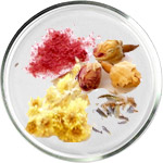 Косметика с керамидами