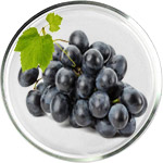 Ресвератрол в косметике