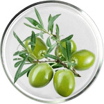 Сквалан в уходе за кожей