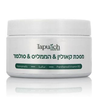 Bio-Sulfur Mask For Oily And Problematic Skin Tapuach